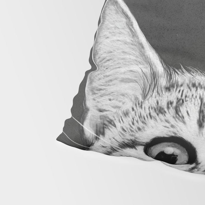 You asleep yet? Pillow Sham Gallery Image 4