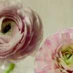 Spring Bloom Coffee Mug Gallery Image 2