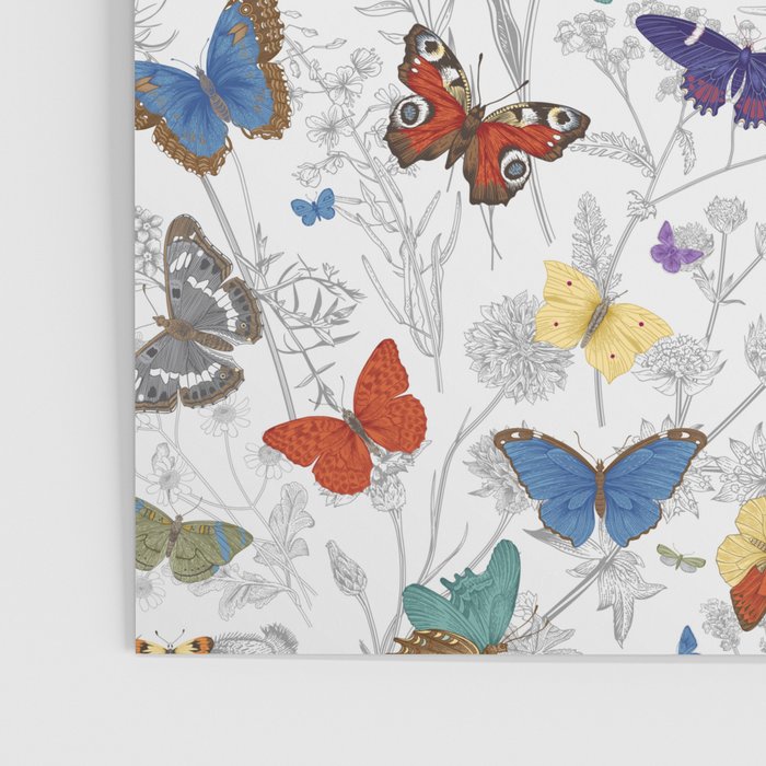 Magical Wild Butterflies Cottage Garden Floral Poster Gallery Image 3