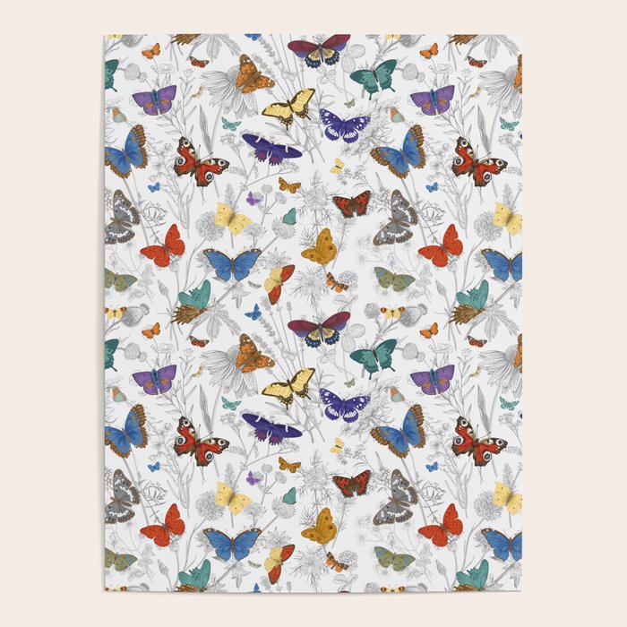Magical Wild Butterflies Cottage Garden Floral Poster Gallery Image 4