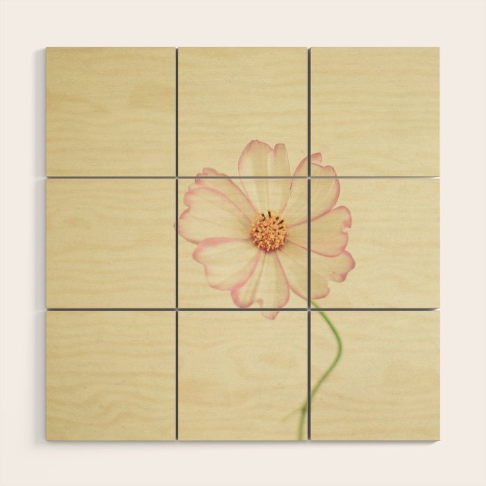 Close to You Wood Wall Art Gallery Image 1