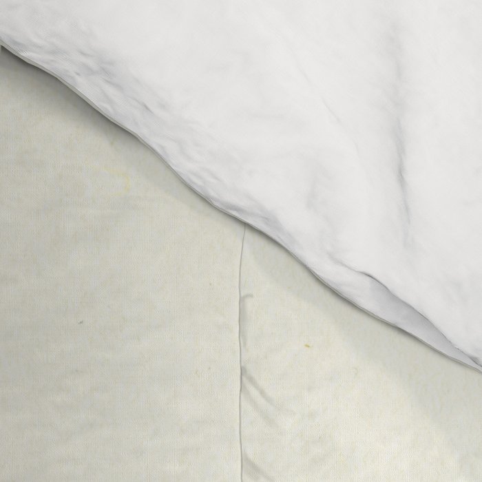 Spring Summer Collection Comforter Gallery Image 4
