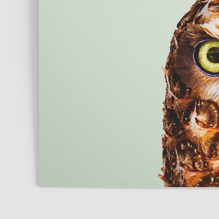 PINEAPPLE OWL Poster Gallery Image 3