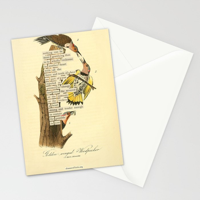 Bird Divinations: Golden-Winged Woodpecker (about: almanacofbirds.org) Stationery Card Gallery Image 2