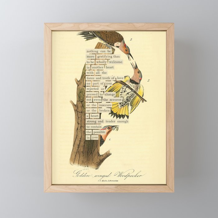 Bird Divinations: Golden-Winged Woodpecker (about: almanacofbirds.org) Mini Art Print Gallery Image 1