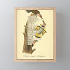 Bird Divinations: Golden-Winged Woodpecker (about: almanacofbirds.org) Mini Art Print Gallery Image 1