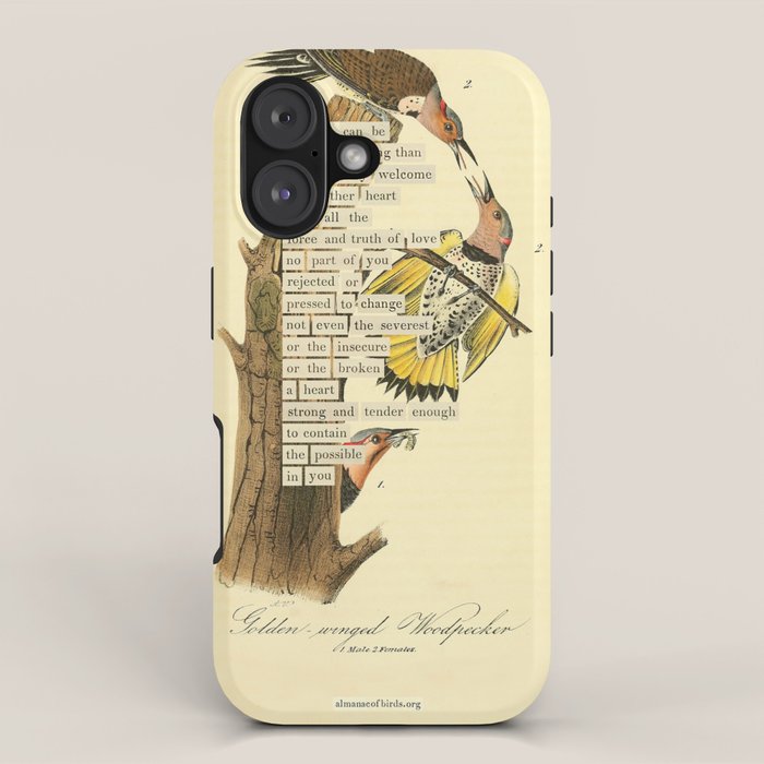 Bird Divinations: Golden-Winged Woodpecker (about: almanacofbirds.org) iPhone Case Gallery Image 1