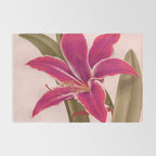 Vintage Floral Rug Gallery Image 2