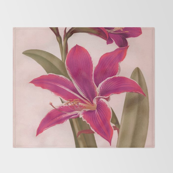 Vintage Floral Throw Blanket Gallery Image 2