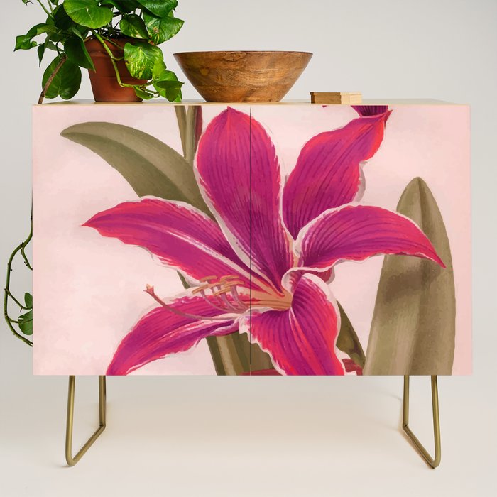 Vintage Floral Credenza Gallery Image 1