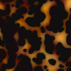 tortoiseshell tortoise shell  Coffee Mug Gallery Image 2