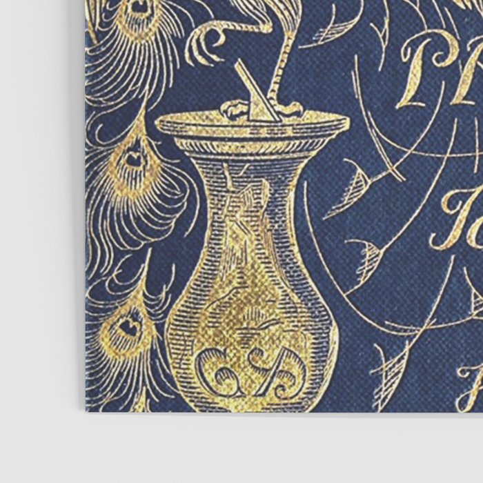 Pride and Prejudice by Jane Austen Vintage Peacock Book Cover Poster Gallery Image 3