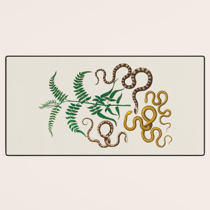 Vipers Aspis hugyi Serpentes Shinus molle Poster Print by Albertus SEBA Desk Mat Gallery Image 3