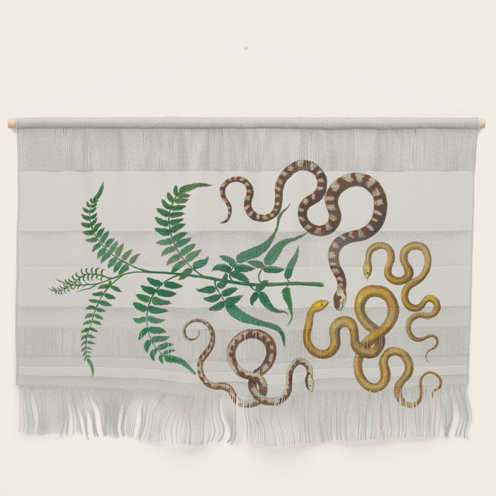 Vipers Aspis hugyi Serpentes Shinus molle Poster Print by Albertus SEBA Wall Hanging Gallery Image 1