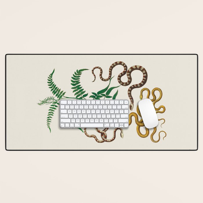 Vipers Aspis hugyi Serpentes Shinus molle Poster Print by Albertus SEBA Desk Mat Gallery Image 1