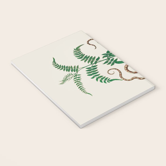 Vipers Aspis hugyi Serpentes Shinus molle Poster Print by Albertus SEBA Notebook Gallery Image 3