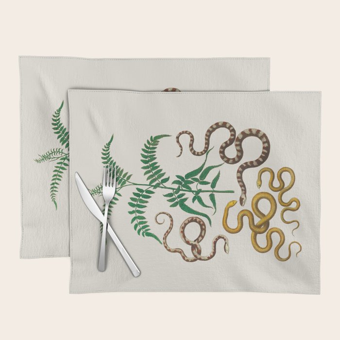 Vipers Aspis hugyi Serpentes Shinus molle Poster Print by Albertus SEBA Placemat Gallery Image 1