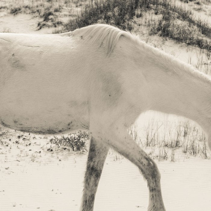 Wild Horses 3 - Black and White Coffee Mug Gallery Image 2