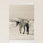 Wild Horses 6 - Black and White Stationery Card Gallery Image 2