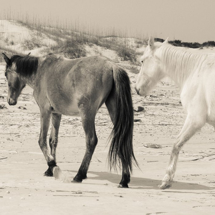 Wild Horses 6 - Black and White Coffee Mug Gallery Image 2
