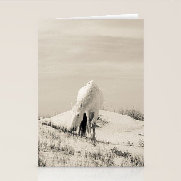 Wild Horses 7 - Black and White Stationery Card Gallery Image 2