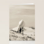 Wild Horses 7 - Black and White Stationery Card Gallery Image 2