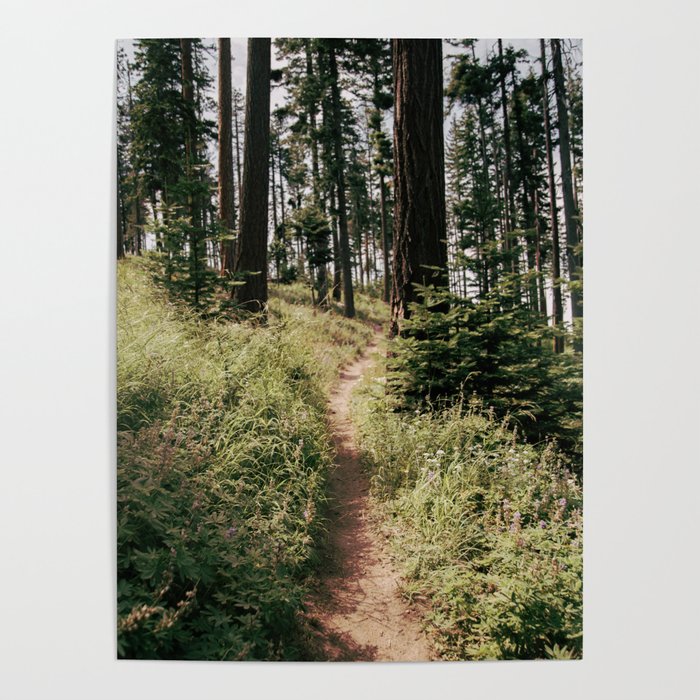 Through the Woods II Poster Gallery Image 4