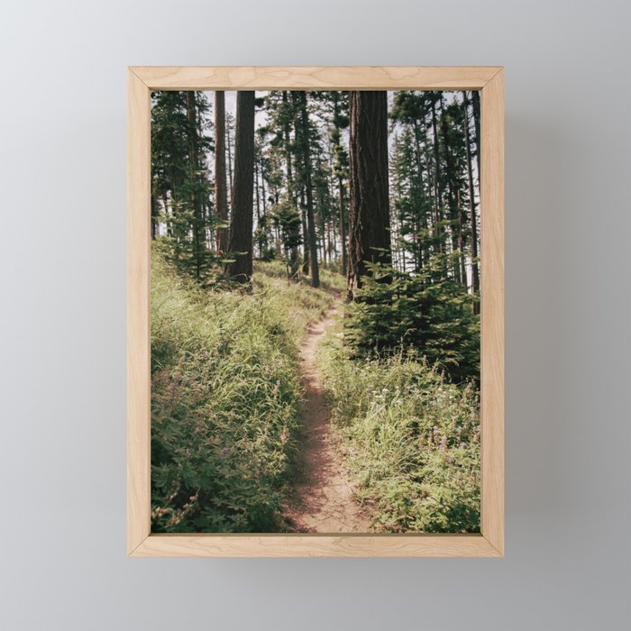 Through the Woods II Mini Art Print Gallery Image 1