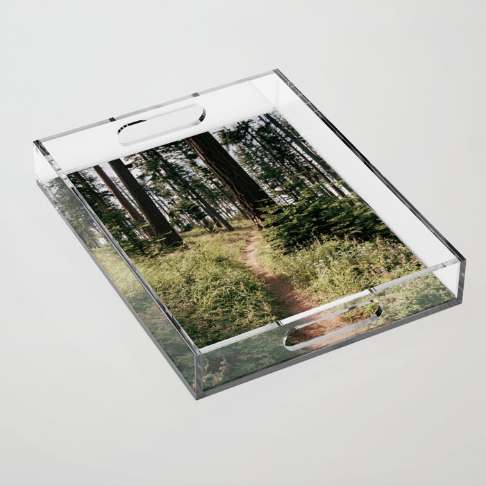 Through the Woods II Acrylic Tray Gallery Image 1