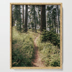 Through the Woods II Serving Tray Gallery Image 1