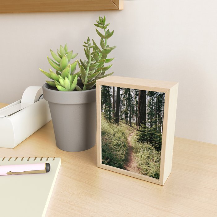 Through the Woods II Mini Art Print Gallery Image 2