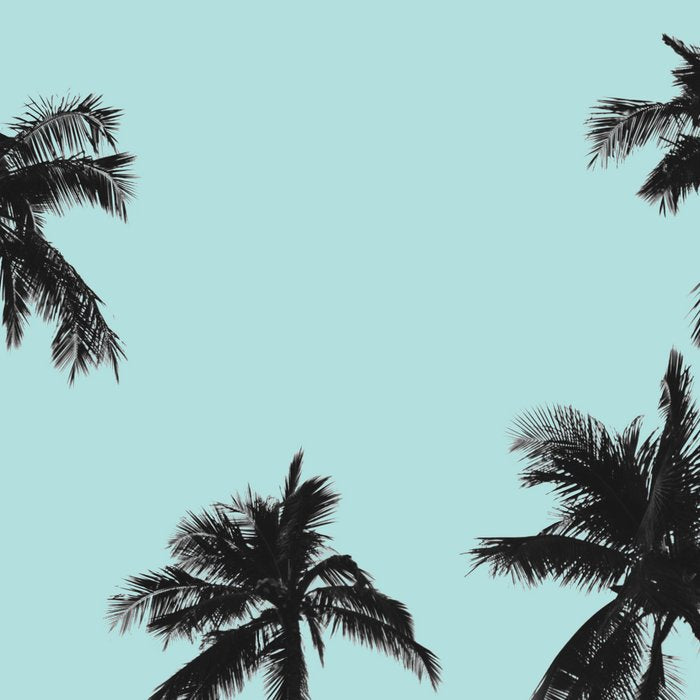 Palm trees 5 Coffee Mug Gallery Image 2