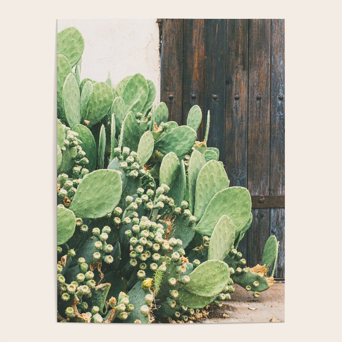 Colors of the Southwest Poster Gallery Image 1
