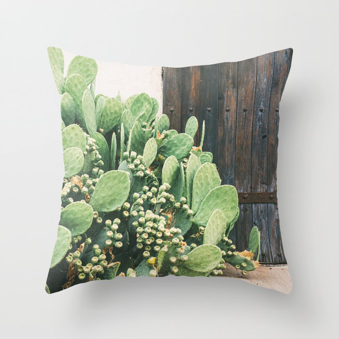 Colors of the Southwest Throw Pillow Gallery Image 6