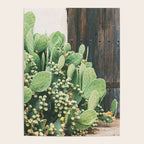 Colors of the Southwest Poster Gallery Image 4