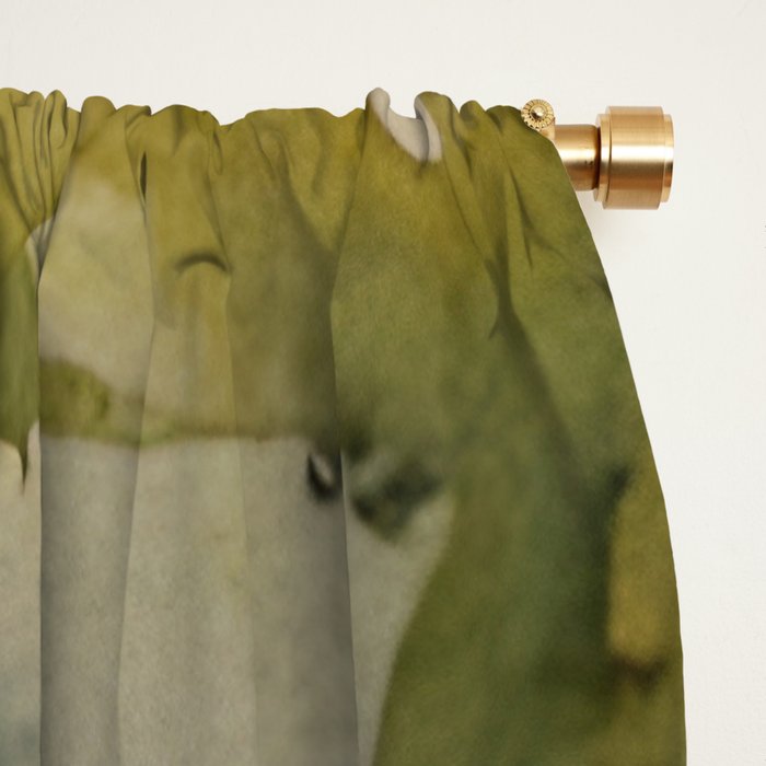 Pink germini dahlia flower 3 Window Curtain Gallery Image 2