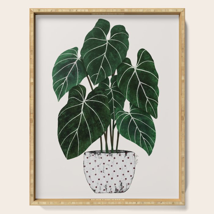 philodendron pot plant Serving Tray Gallery Image 1