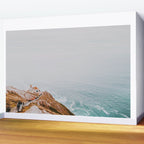 point reyes ii - california Wall Mural Gallery Image 2