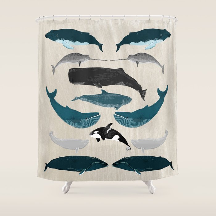 Whales - Pod of Whales Print by Andrea Lauren Shower Curtain Gallery Image 1