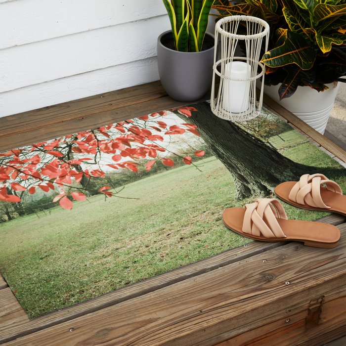 Autumn Red Outdoor Rug Gallery Image 2