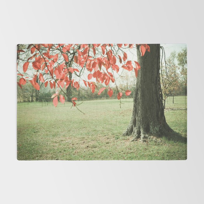 Autumn Red Rug Gallery Image 2
