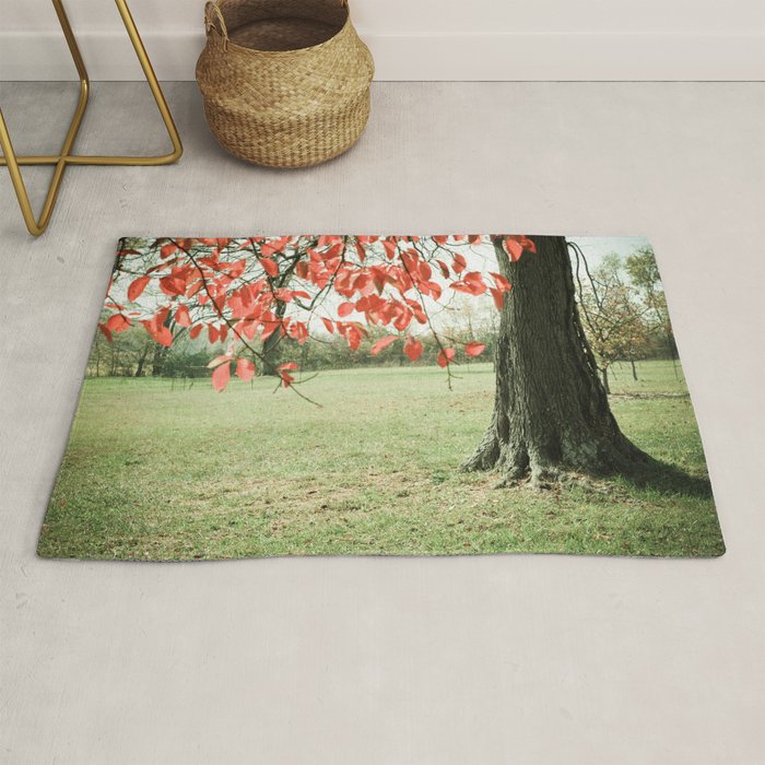 Autumn Red Rug Gallery Image 1