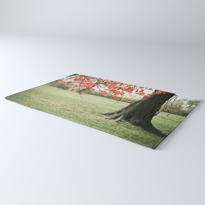 Autumn Red Rug Gallery Image 3