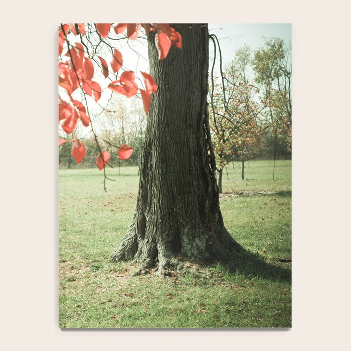 Autumn Red Notebook Gallery Image 4