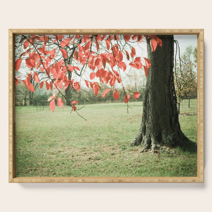 Autumn Red Serving Tray Gallery Image 1