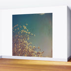 Head in the Clouds - minimal cottage core nature photo Wall Mural Gallery Image 2