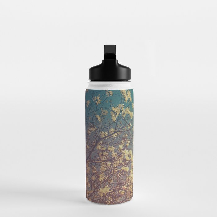 Head in the Clouds - minimal cottage core nature photo Water Bottle Gallery Image 3
