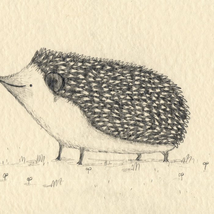 Monochrome Hedgehog Coffee Mug Gallery Image 2