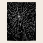 Spider Spider Web Poster Gallery Image 4