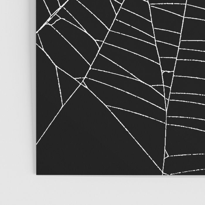 Spider Spider Web Poster Gallery Image 3